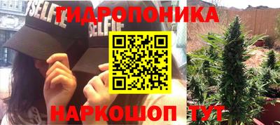дмт Будённовск