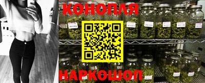 дмт Будённовск