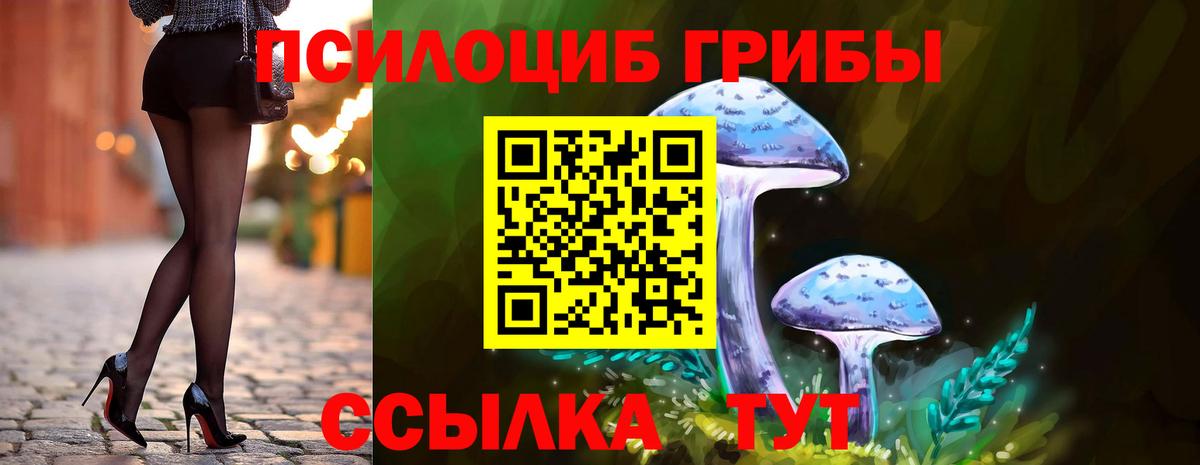 Псилоцибиновые грибы Psilocybe Семилуки